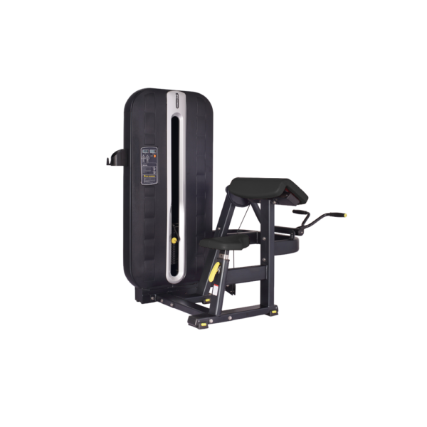 BR Fitness Biceps Machine