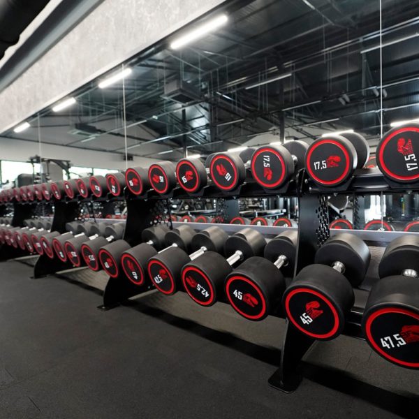 Polyurethaan Dumbbells 2,5-50kg - Image 2