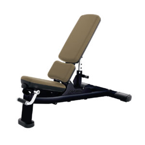 Life Fitness Adjustable Bench