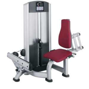 Life Fitness Signature Calf Extension