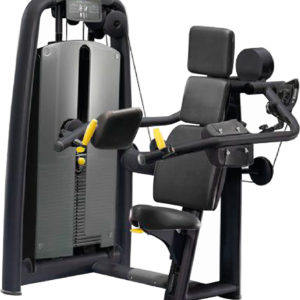Technogym Selection Delts Machine