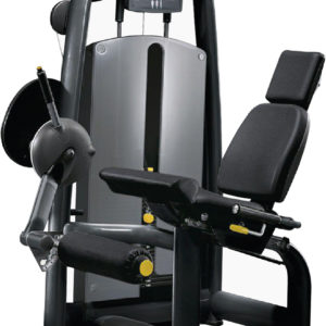 Technogym Selection Leg Extension