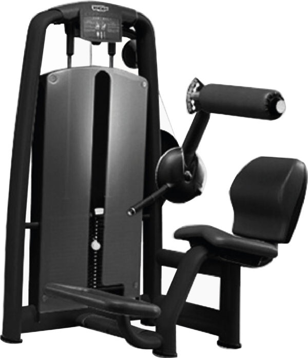 Technogym Selection Lower Back