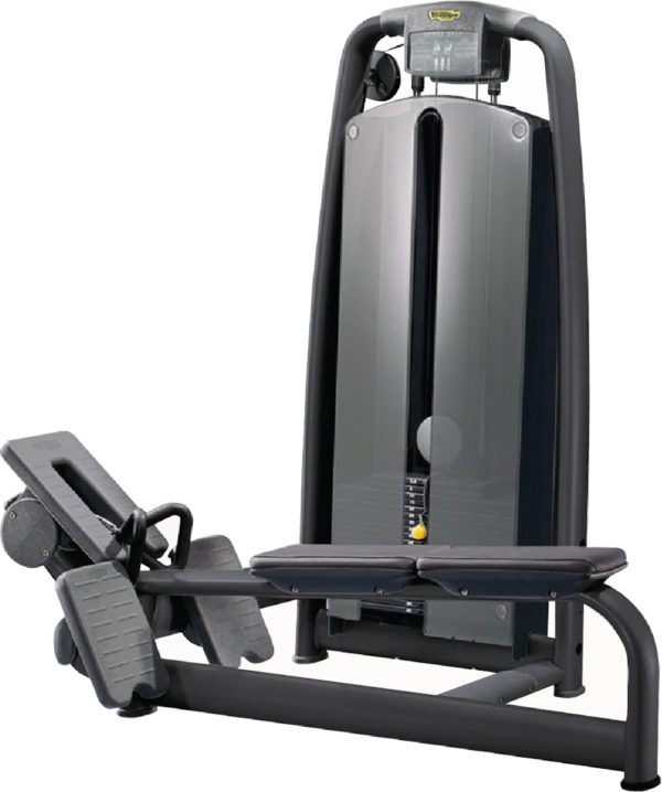 Technogym Selection Pulley Row