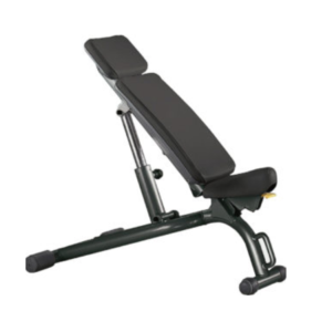 Athl. Performance Adjustable Bench